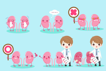 cartoon doctor with kidney