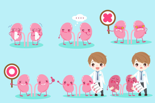 Kidney Cartoon Images – Browse 7,720 Stock Photos, Vectors, and Video | Adobe Stock Kidney Cartoon Images – Browse 7,720 Stock Photos, Vectors, and Video | Adobe Stock