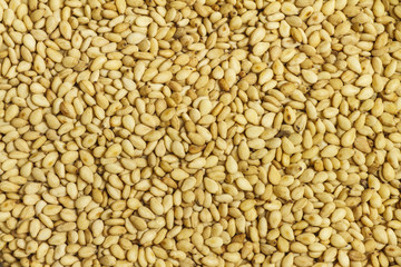 Sesame seeds background