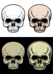 Obraz na płótnie Canvas Skull Head without lower jaw Drawing illustration with 4 variation color