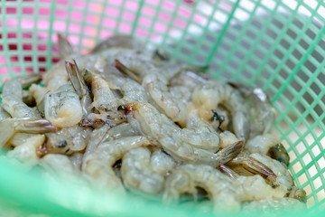 Close up shrimp