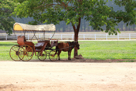 Horse drawn Carriage.
