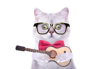 Smart beautiful british cat playing video game console. Funny animals. Trendy cat dressed in beautiful clothes