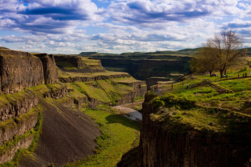 Palouse country
