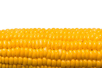 Golden corn on white background