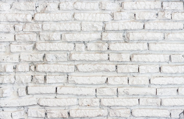 White brick wall background.