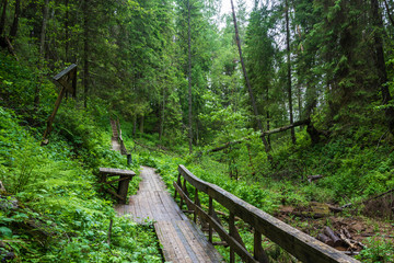 On the sacred source Cosmas and Damian Assisi in the Kostroma region.