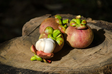 Mangosteen and cross section showing the thick purple skin and white flesh of the queen of friuts, Delicious mangosteen fruit arranged on a Stump, Mangosteen flesh with nature background, closeup.
