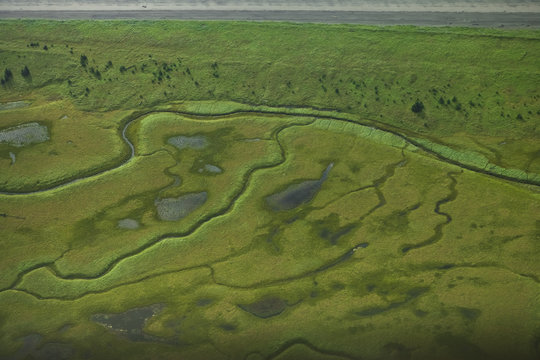 Aerial view of the Silver Salmon Creek river meandering through green meadows, Lake Clark NP, Alaska