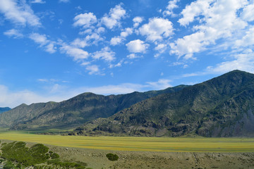 Obraz premium Hills of Altai mountains on a blue sky with white clouds and yellow meadow background. Altay Republic, Siberia, Russia.