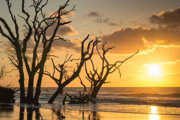 the sun begins to rise over the ocean with a beach and reflections and trees in the sand