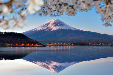 Fuji Mountain with Sakura Branches at Kawaguchiko