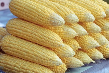 fresh corn at market