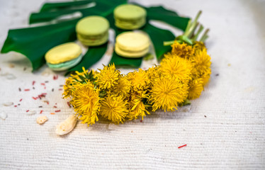 Green and yellow macaroons with the leaf of a monstera and wreath of dandelions