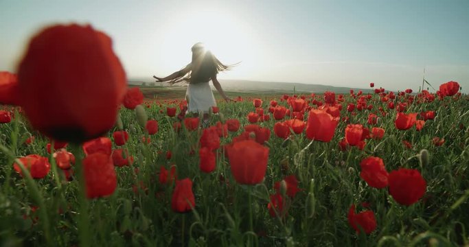ittle Asian girl in white dress having fun in a field of red poppies in Sunny day, slow motion