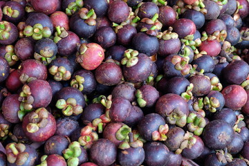 Mangosteen in market Thailand