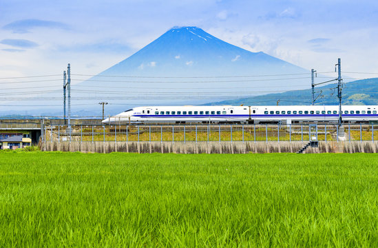 Bullet Train And Fuji Mountain With Rice Field Foreground At Fuji City, Shizuoka, Japan