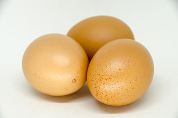egg on white background