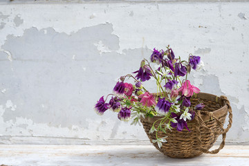 aquilegia bouquet in a basket on a white wood background with copy space