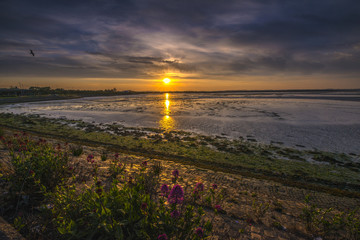 Sunrise over marshes