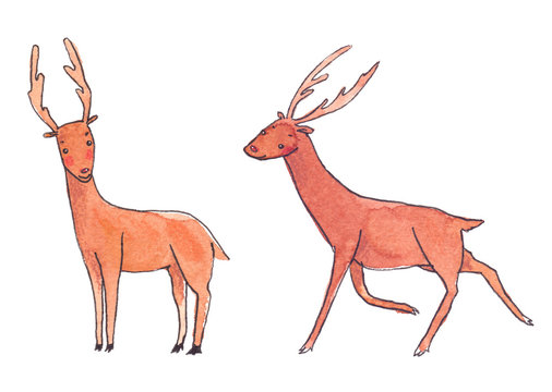 Couple of cute cartoon deer painted in watercolor on clean white background