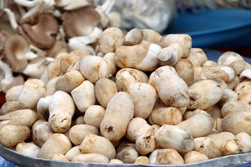 mushroom at street food