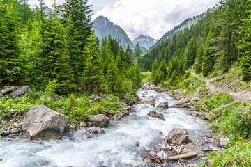 Natur, Tiere, Pflanzen, Wandern, Erleben