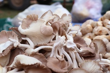 mushroom at street food