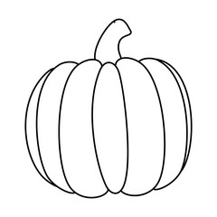 Fresh pumpkin vegetable icon vector illustration design