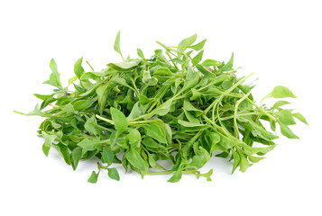 Fresh watercress isolated on white background