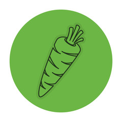 carrot fresh isolated icon vector illustration design