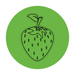 fresh strawberry isolated icon vector illustration design