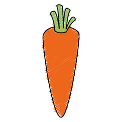carrot fresh isolated icon vector illustration design