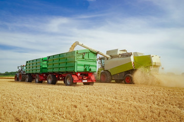 Obraz premium Abladen des gedroschenen Getreides auf mitfahrende Containerwagen