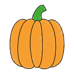 Fresh pumpkin vegetable icon vector illustration design