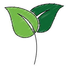 leafs plant ecology icon vector illustration design