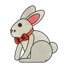Bunny vector illustration