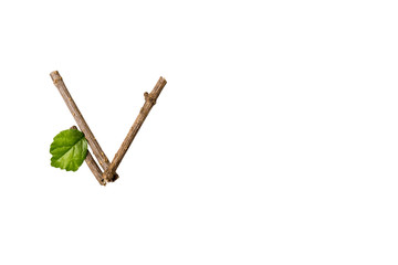 Nature letter V from twig and stick