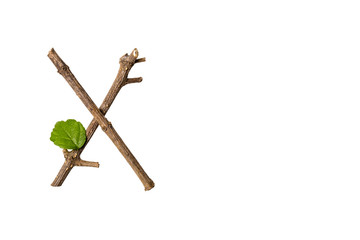 Nature letter X from twig and stick