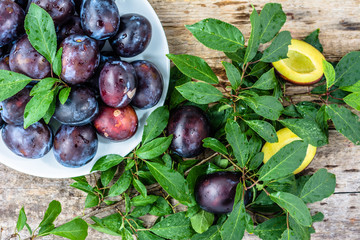 Autumnal plums on rustic background, autumn seasonal fruits harvest