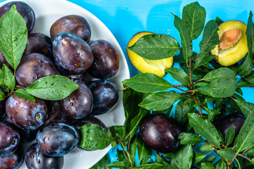 Ripe plum branch and wet plums on plate on blue background