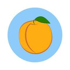 Apricot with leaf in blue circle on a white background. Vector.