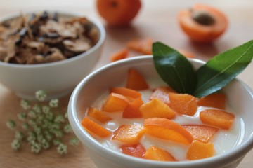 YOGURT ABICOCCA CON PEZZETTI DI FRUTTA