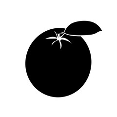 Fresh ripe oranges with leaves. Black fruit with white stroke