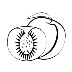 Peach fruit and slice with leaf on a white background. White fruit with black stroke. Vector illustration.