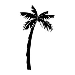 tropical palm icon over white background vector illustration