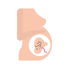Pregnant woman with her fetus vector illustration design