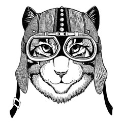 Image of domestic cat Motorcycle, biker, aviator, fly club Illustration for tattoo, t-shirt, emblem, badge, logo, patch