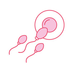 Fertilization of the ovum by the spermatozoon vector illustration design