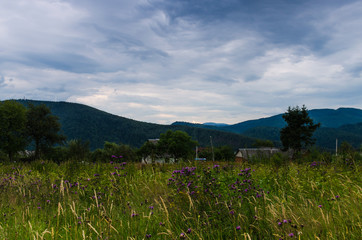 Obraz premium Carpathian mountains landscape in Ukraine in the summer season in Yaremche